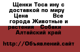 Щенки Тоса-ину с доставкой по миру › Цена ­ 68 000 - Все города Животные и растения » Собаки   . Алтайский край